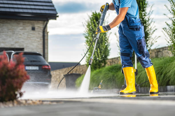 Best Solar Panel Cleaning  in Bridgman, MI